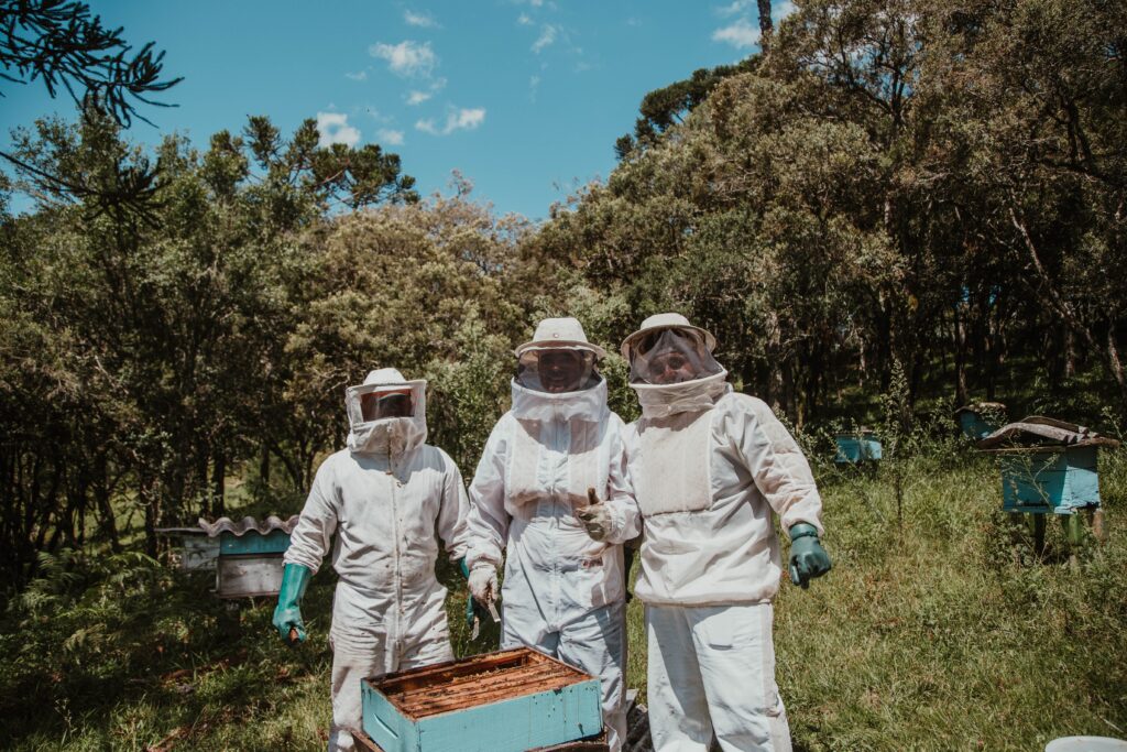 apicultores